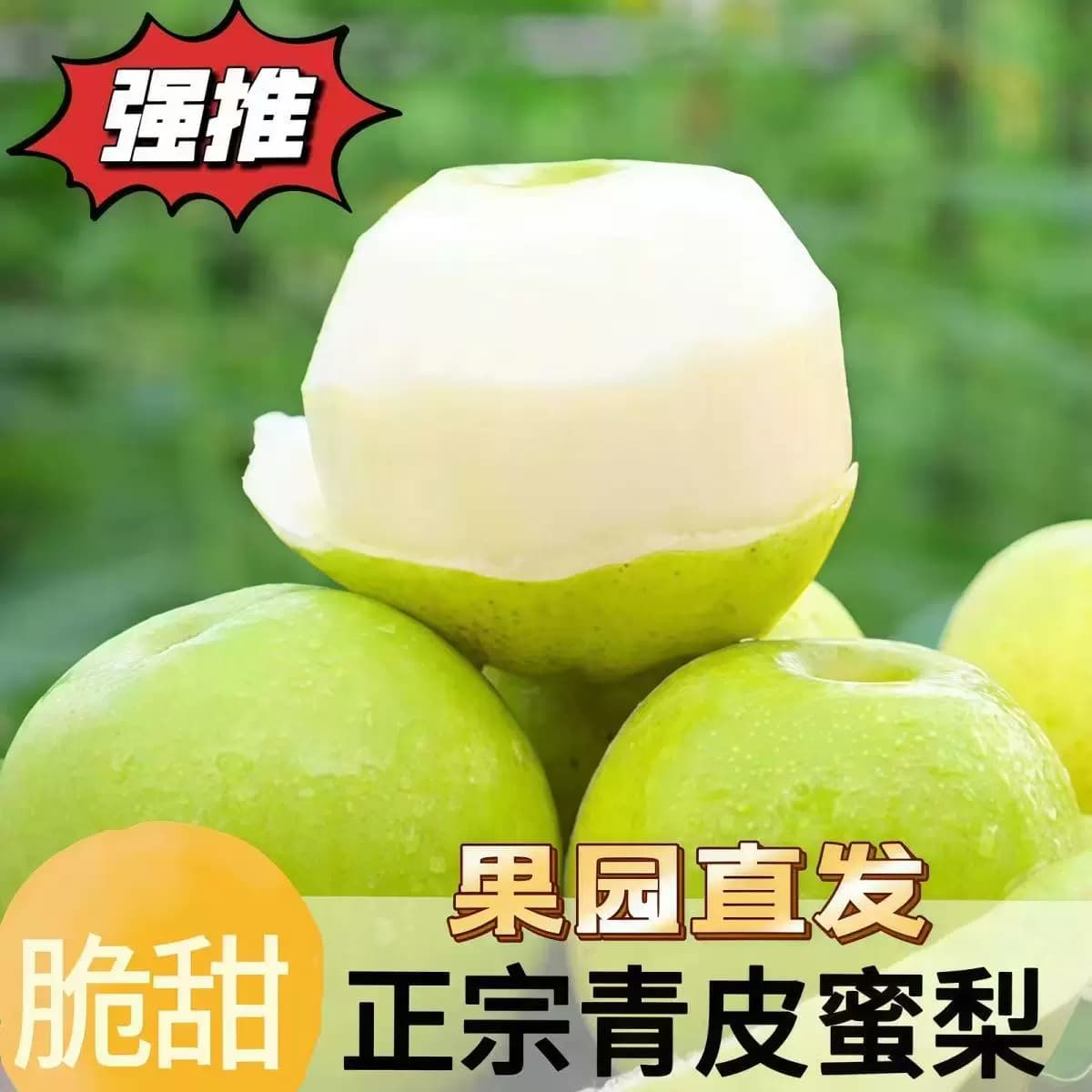 正宗砀山青梨当冠梨季水果新鲜青梨皇酥梨5斤整箱包邮应翠雪梨