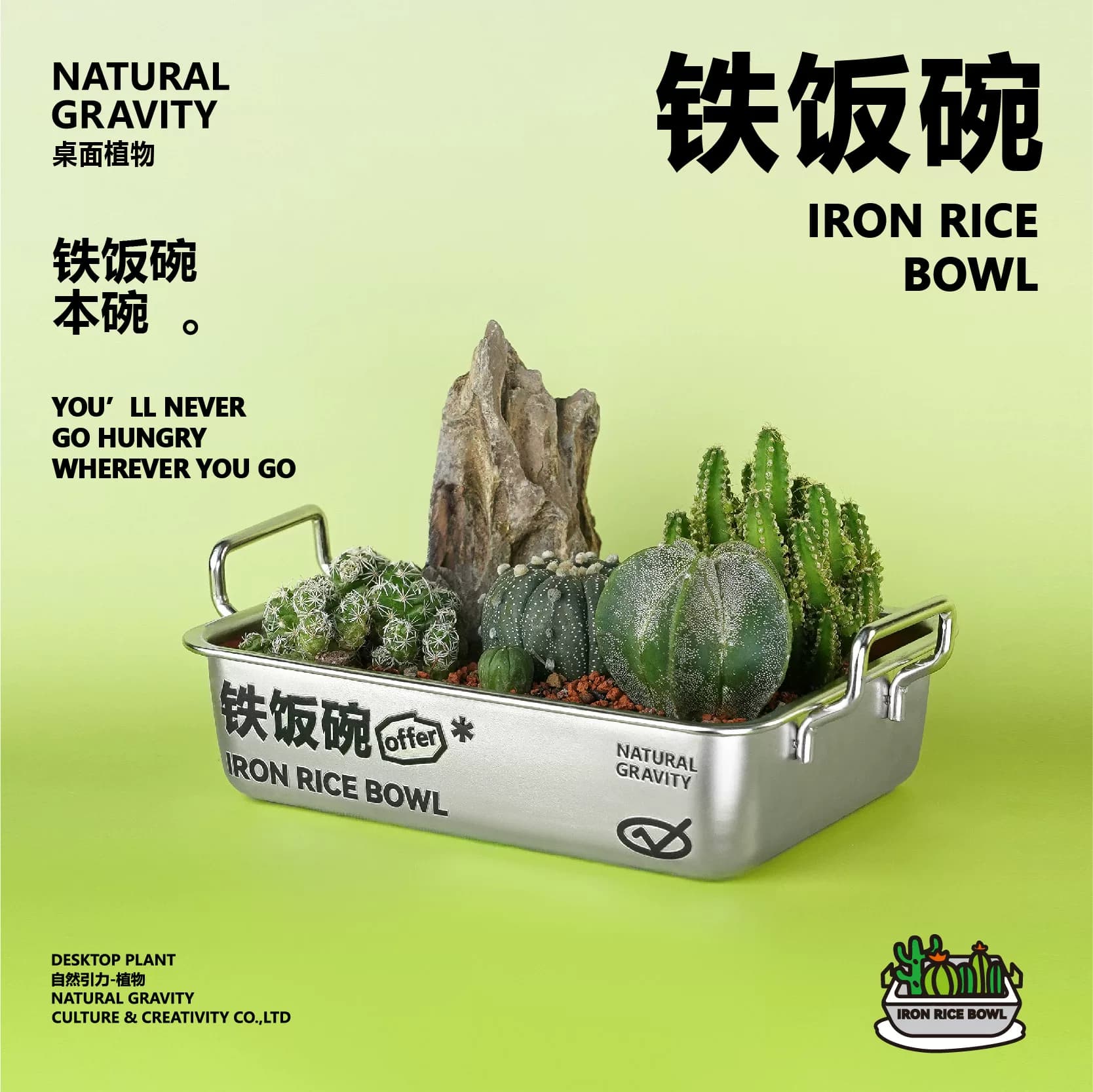 自然引力-铁饭碗仙人掌植物创意盆栽生日毕业礼物办公室绿植礼品