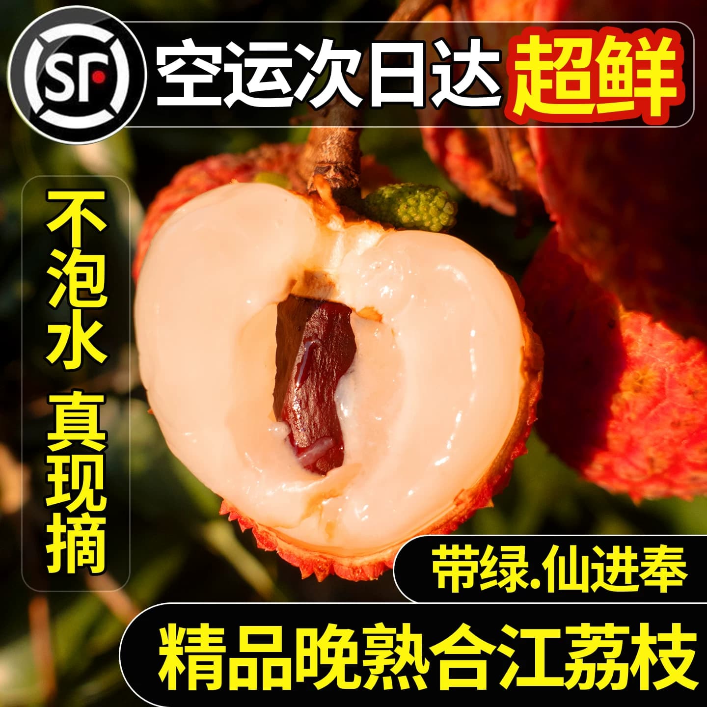 四川合江荔枝带绿新鲜桂现摘味现发观音绿妃子笑仙进罂白糖奉10斤
