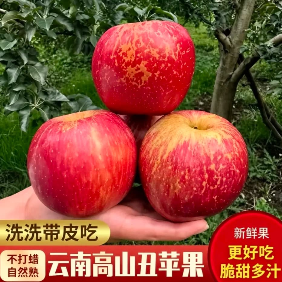 云南高山新鲜野生丑苹果新鲜孕妇水果苹果脆甜当季苹果整箱