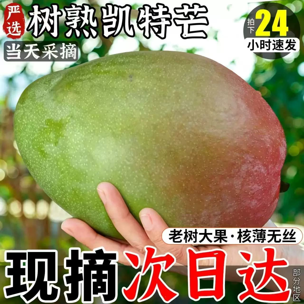 四川攀枝花凯特芒果新鲜水果当季凯特芒芒果新鲜青皮芒果包邮