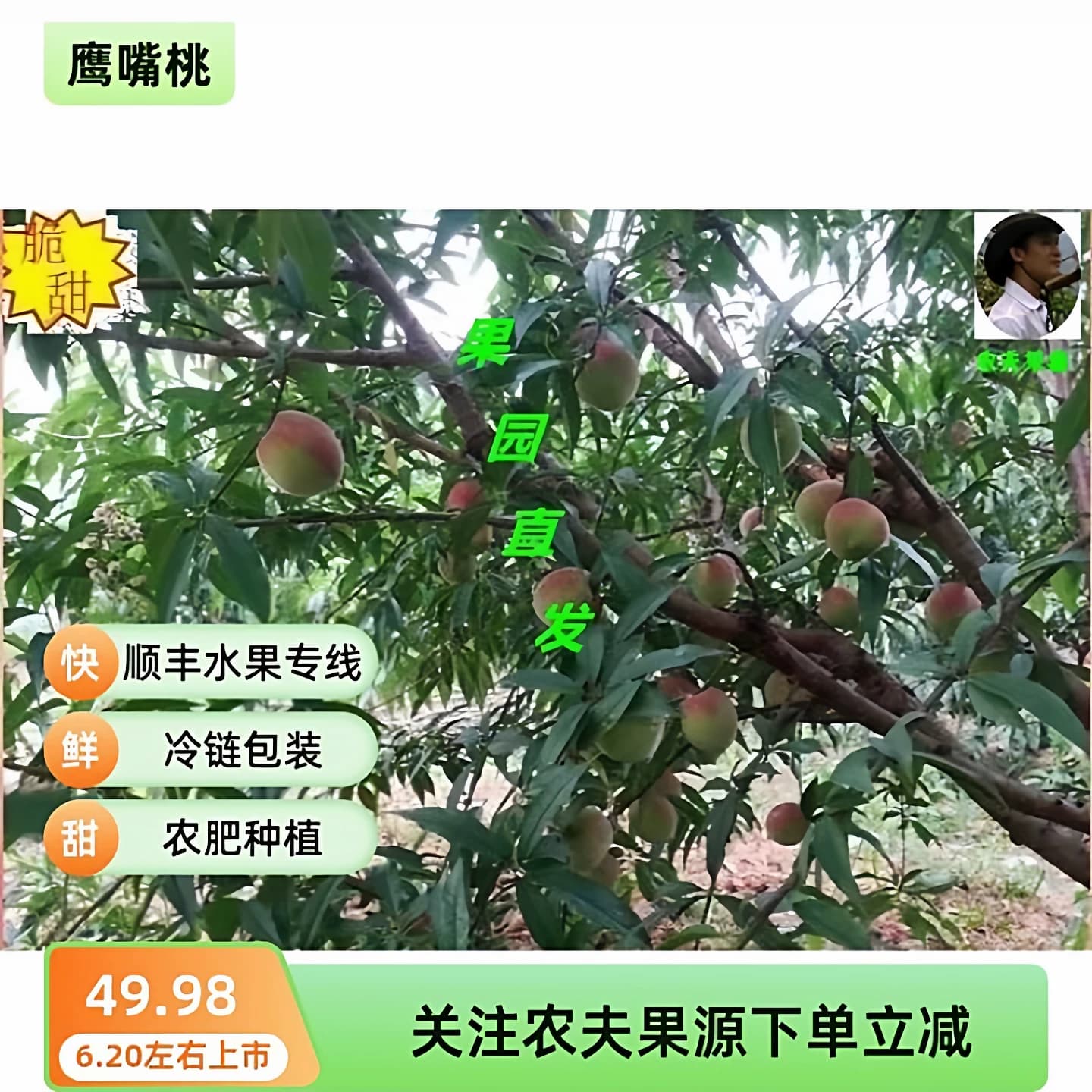 《顺丰》资兴东江湖脱骨鹰嘴桃热卖农村自然成熟当季脆甜孕妇鲜果