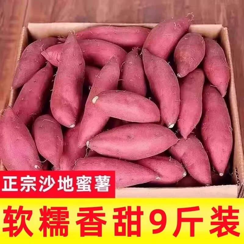 沙地板栗红薯新鲜蜜薯地瓜番薯糖心山芋农家自种龙九黄心软糯