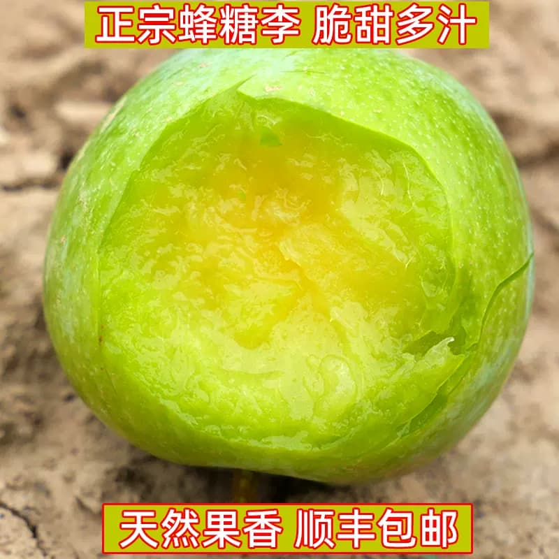 蜂糖李新鲜水果李子陕西当季时令青脆李现摘现发脱骨甜李孕妇正宗