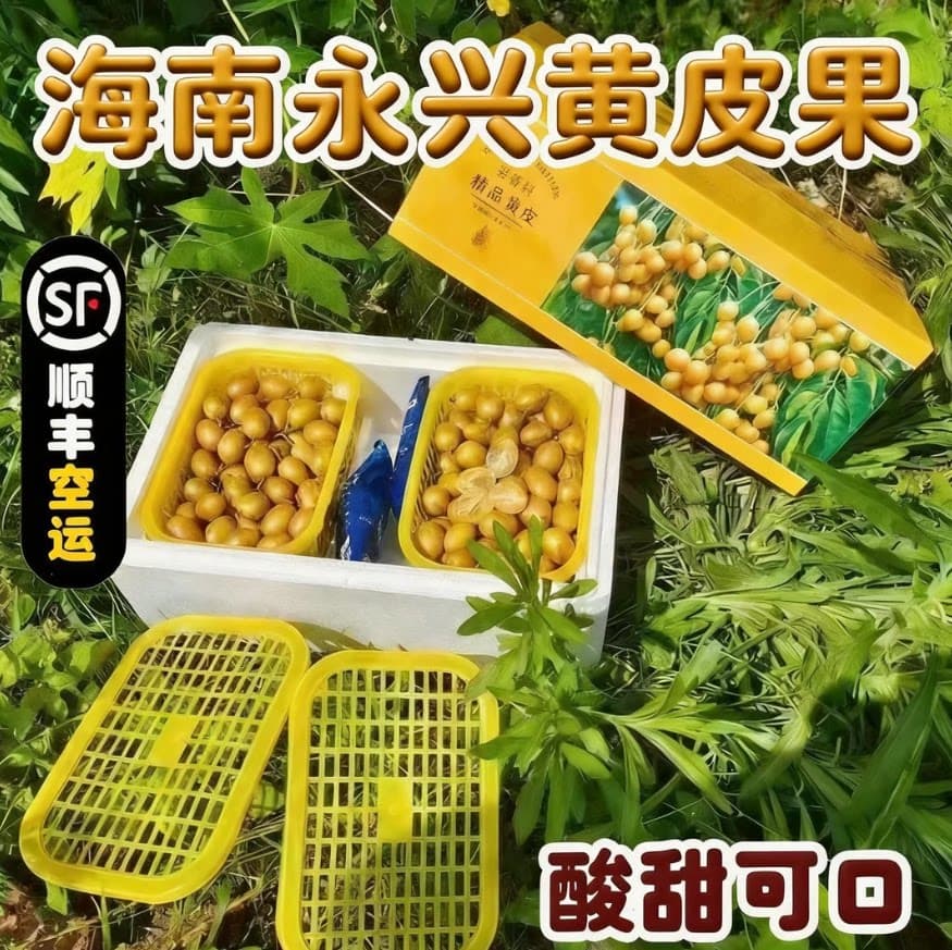 海南永兴火山岩黄皮新鲜水果园现摘现发鸡心果黄皮空运包邮礼盒装