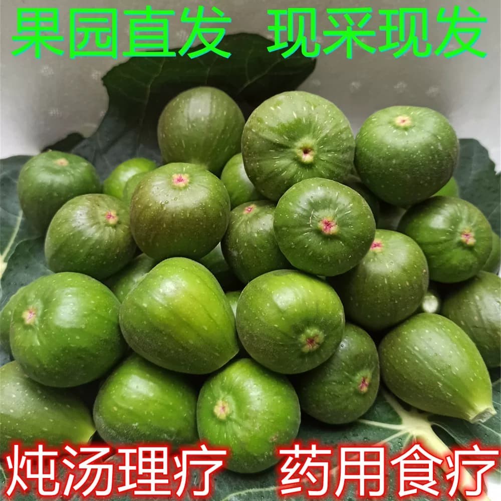 新鲜生无花果青果现摘未成熟小青果(不能直接吃）