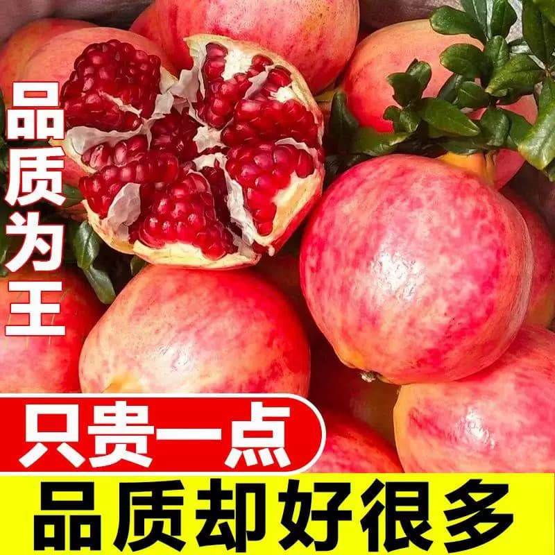 突尼斯软籽石榴酸甜多汁新鲜水果应当季红宝石石榴四川会理红整箱