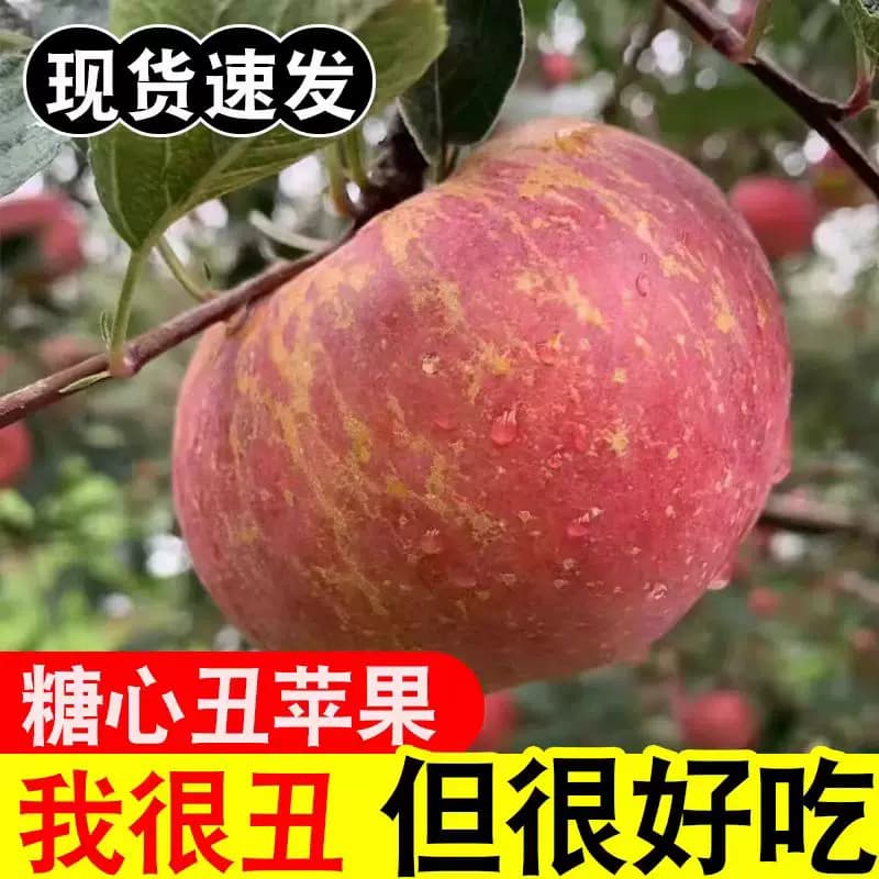大凉山冰糖心丑苹果新鲜水果应季红富士孕妇水果整箱包邮现摘直发