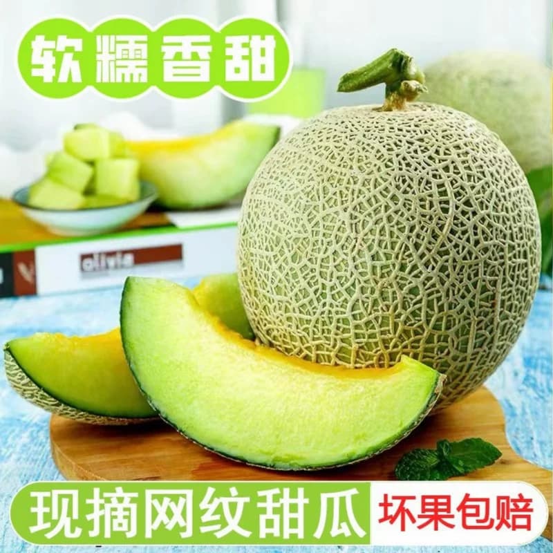 山东网纹瓜产地直发精品网纹瓜玫珑蜜瓜果肉软糯 香甜多汁
