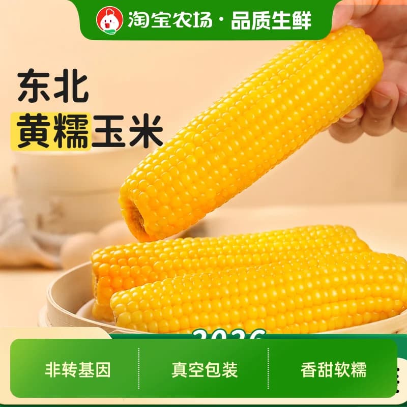 东北黄糯玉米当季粗粮主食软糯黄低脂轻食代餐真空健康生鲜香甜
