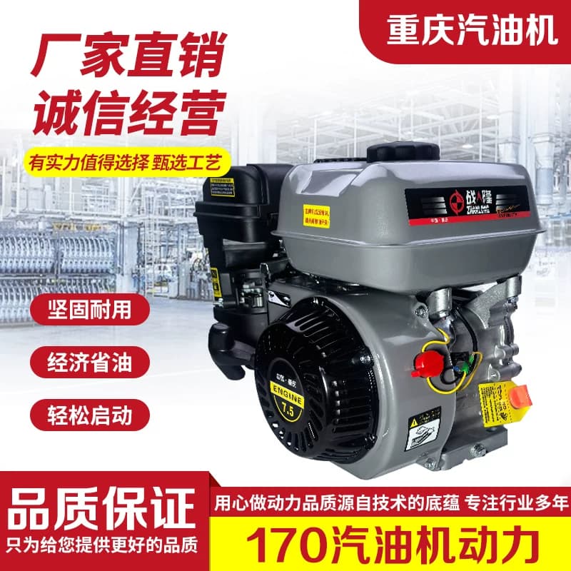 170汽油机190F小型内燃四冲程微机耕膨化机抽水抹光机196F发动机
