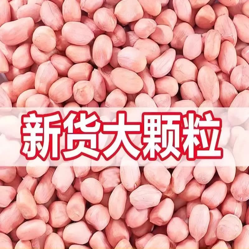 花生米生新河南新货2026年大颗粒农家新鲜花生仁大粒散装食用油炸