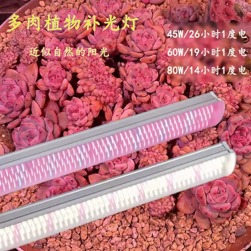 LED全光谱仿太阳光长条防水多肉花卉蔬菜补光生长灯多肉生长灯