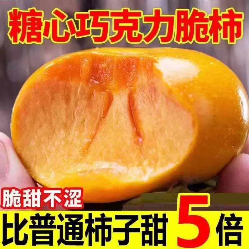 山西巧克力脆甜柿子新鲜水果大火晶黄香甜硬脆皮柿当应季整箱包邮
