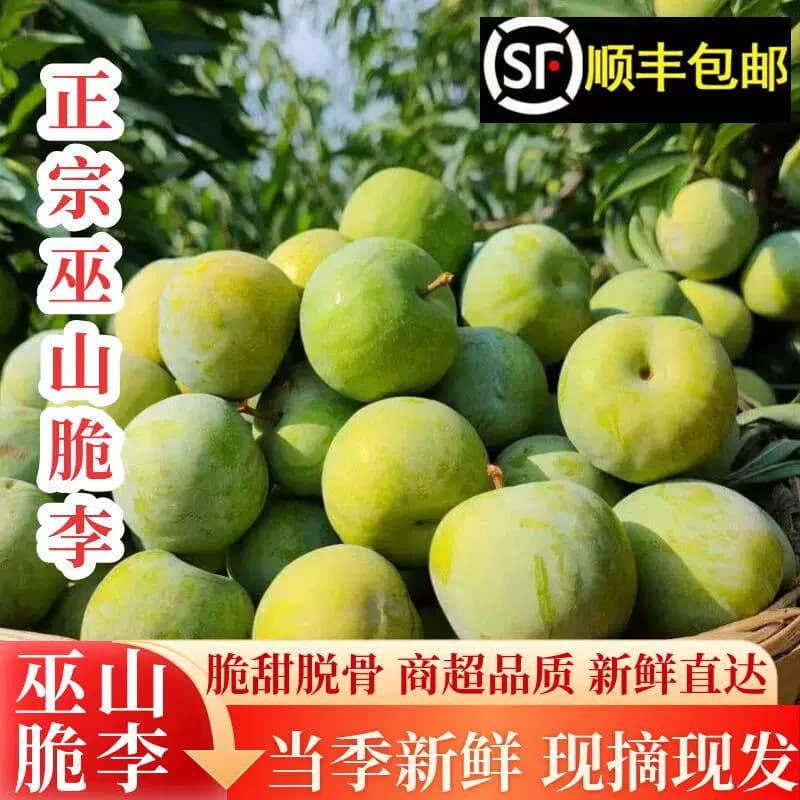 重庆巫山青脆李正宗新鲜脱骨李当季整箱水果李子礼盒顺丰京东包邮