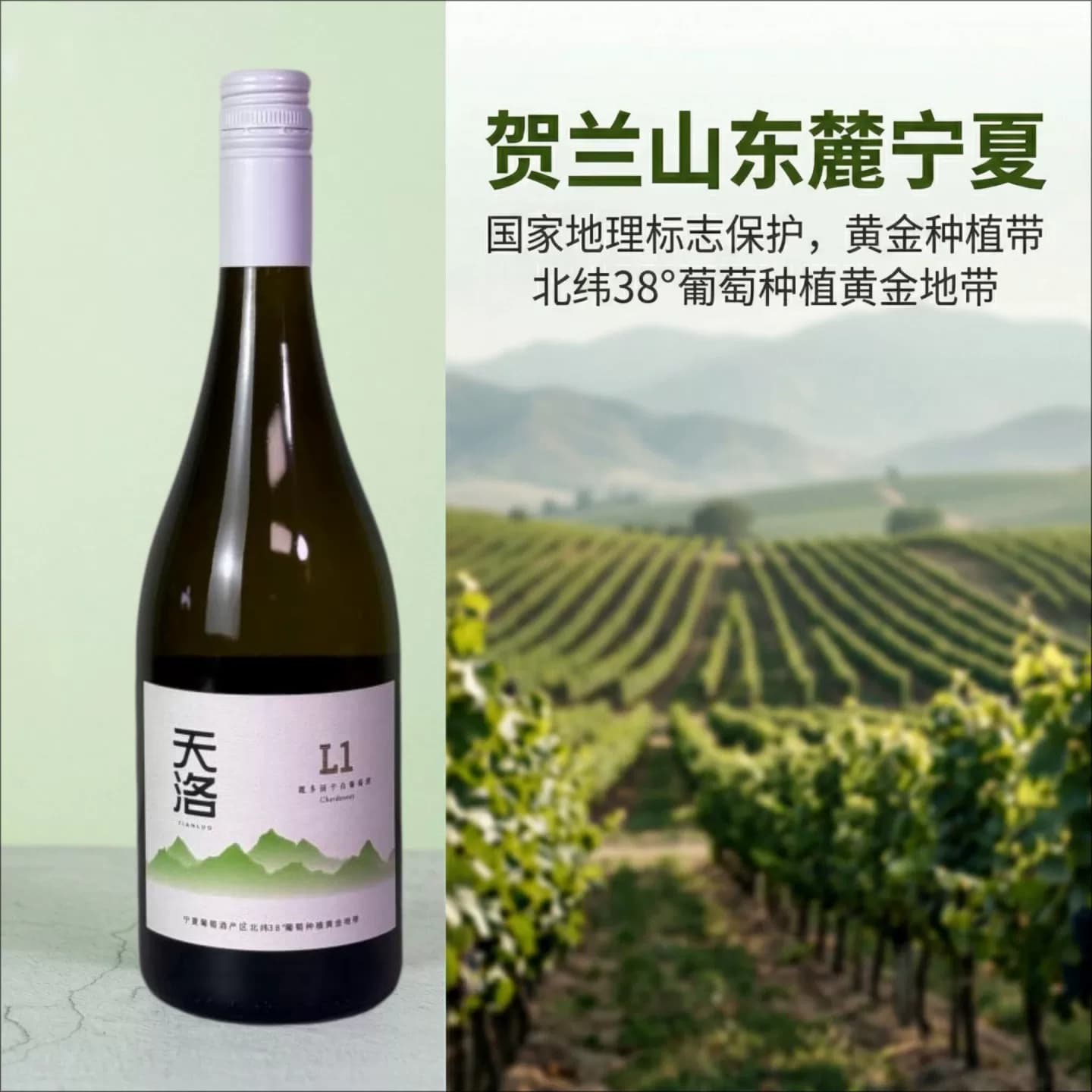 宁夏贺兰山东麓黄金纬度产区天洛酒庄L1霞多丽干白葡萄酒国货精品
