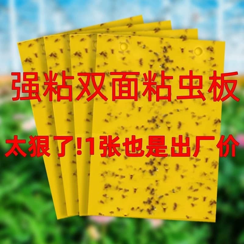 粘虫板黄板双面大棚专用小黑飞果蝇诱捕器诱虫板贴纸农用家用花园