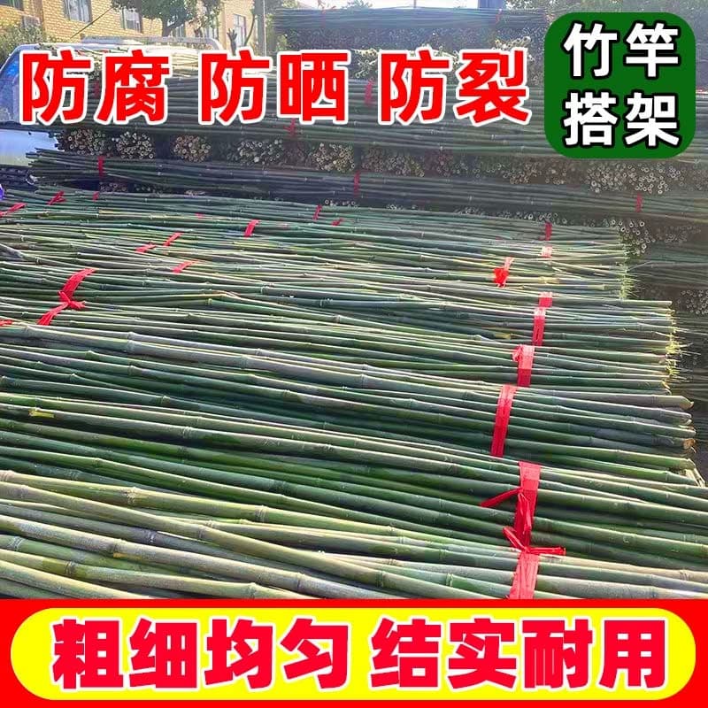 竹竿棍菜园爬藤架防腐粗细彩旗竹子杆蔬菜架架黄瓜豆角瘦竹竿庭院
