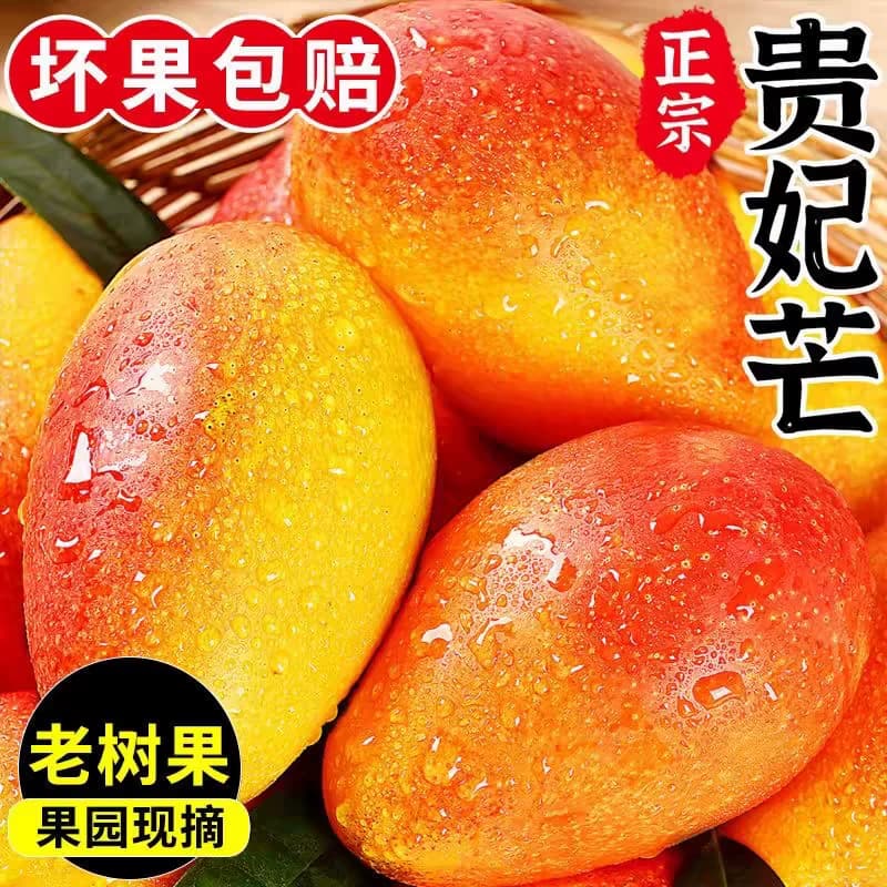 正宗广西贵妃芒芒果水果新鲜10斤当季整箱树上熟红金龙孕妇