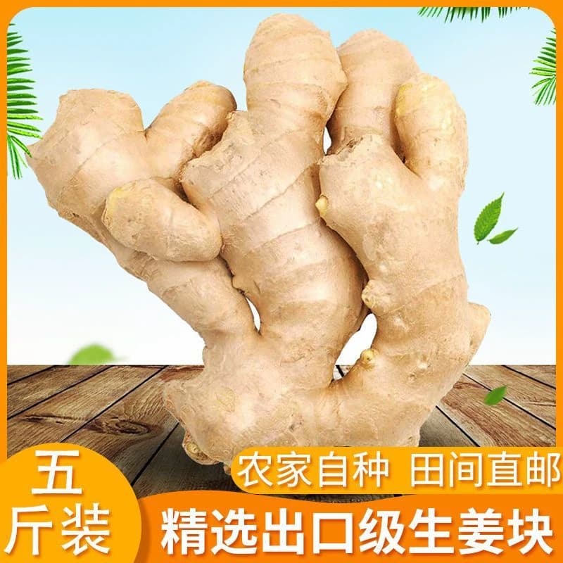 山东大姜生姜新鲜老姜月子姜风干姜鲜姜老黄姜包邮食用精选源头