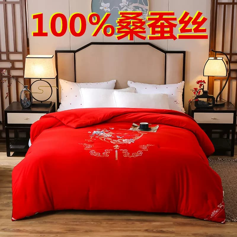 9品牌清仓蚕丝被100%桑蚕丝春夏秋冬季子母被子4/6/8斤专柜正品