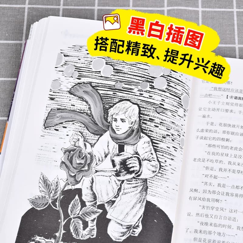 【当当网】 小王子 正版无障碍阅读名师讲解版+小考真题+名著导读小学生语文阅读课外书籍三四五六年级必读世界经典文学童话故事书 - 缩略图5