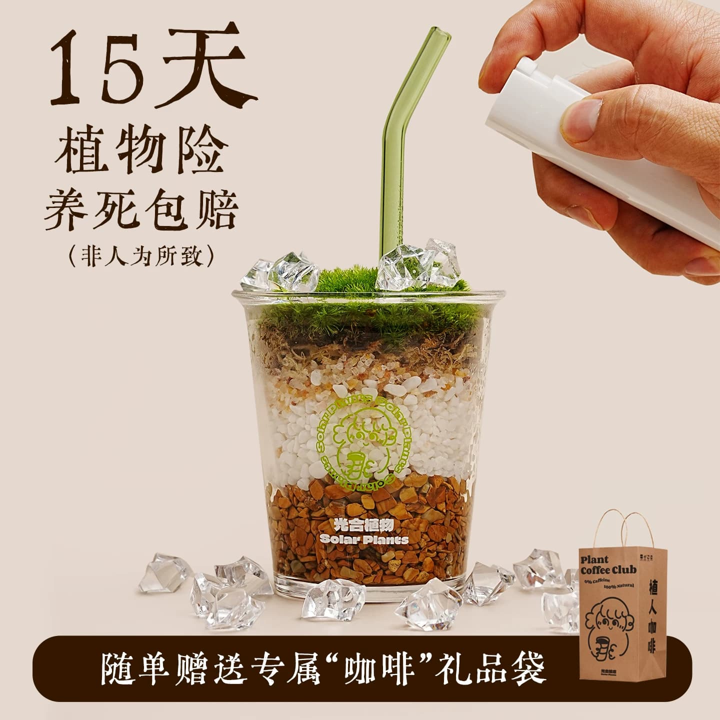 植人咖啡ins风桌面苔藓微景观diy创意女生日礼物办公桌面绿植盆栽 - 缩略图3