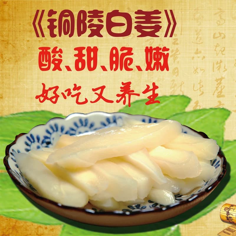 【安徽特产】铜陵生姜白姜腌制仔姜嫩姜韩国泡菜糖醋泡姜下饭酱菜 - 缩略图5