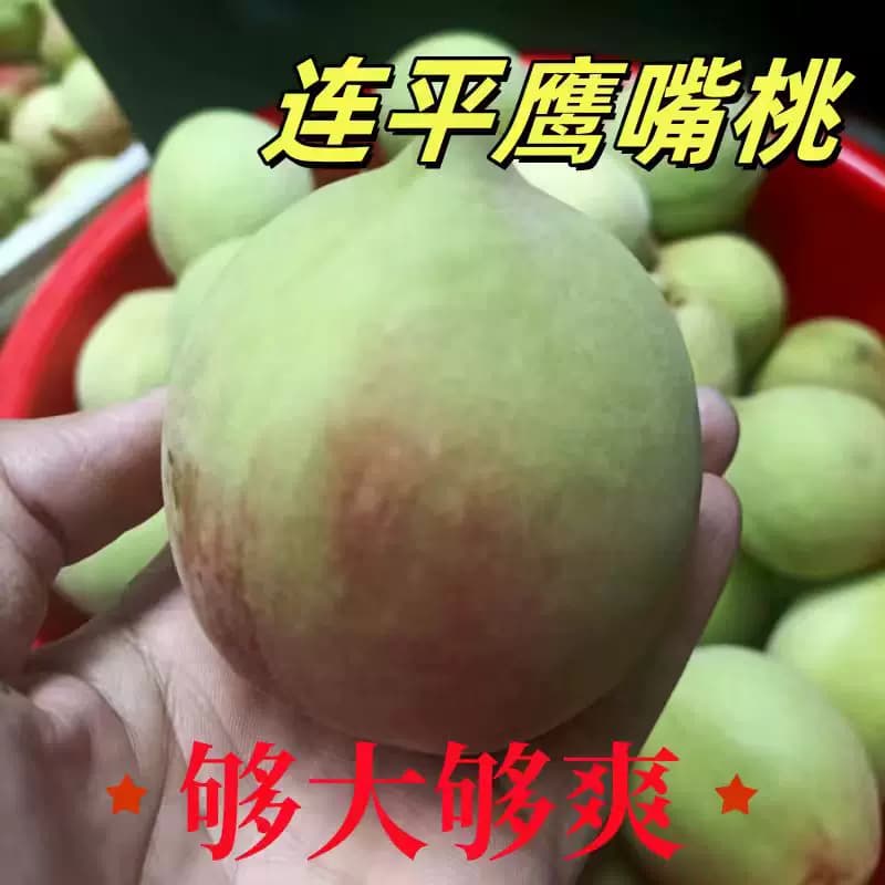 顺丰现摘河源连平上坪鹰嘴桃子新鲜水果水蜜桃5斤非云南脆甜桃10 - 缩略图2