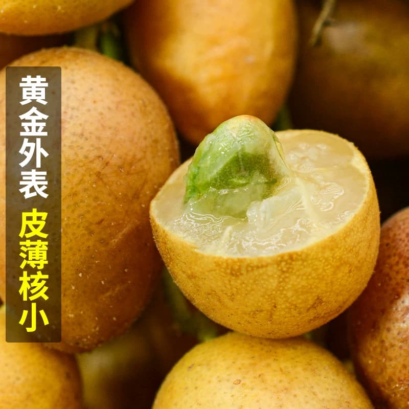 顺丰 广东鸡心黄皮果新鲜5斤冰糖当季现摘酸甜黄弹子水果孕包邮 - 缩略图4