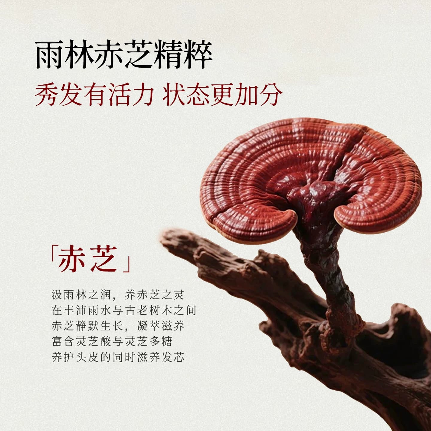 舒霖水润修护洗发水清洁保湿舒缓修护洗头膏顺滑发丝植萃养护头皮 - 缩略图2