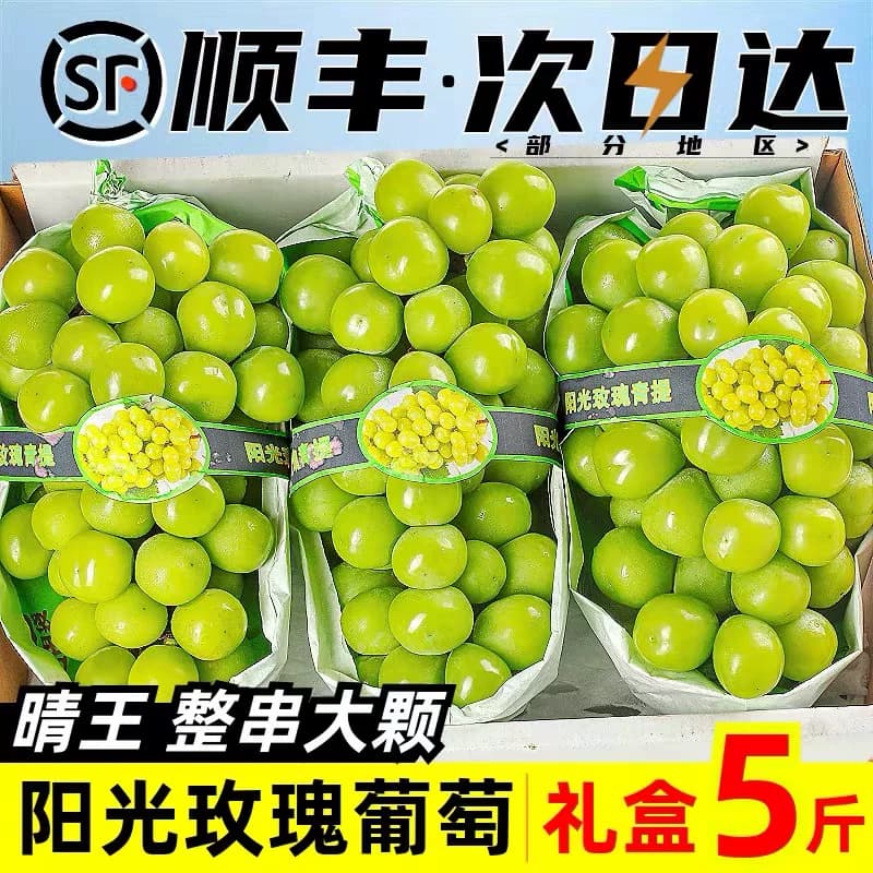 阳光玫瑰葡萄新鲜青提子晴王无籽香印葡萄当季整箱水果顺丰 - 缩略图2
