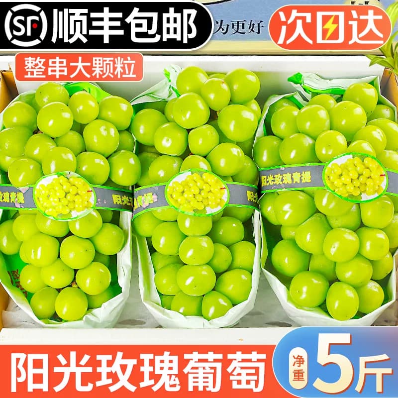 阳光玫瑰葡萄新鲜青提子晴王无籽香印葡萄当季整箱水果顺丰 - 缩略图3