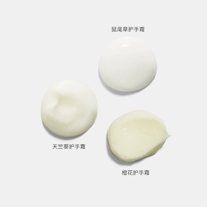ANRUZ安润适春夏补水易吸收保湿不油腻水乳质地送礼护手霜50ml - 缩略图4