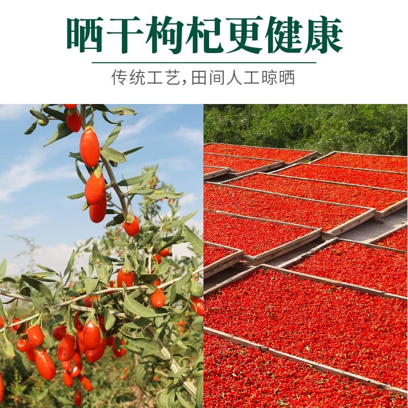 枸杞子宁夏特级500g大颗粒正宗红苟杞构纪茶泡水男肾干官方旗舰店 - 缩略图5