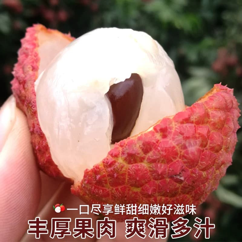【晚熟品种】漳州黑叶荔枝新鲜现摘现发10斤老树水果整箱顺丰京东 - 缩略图3