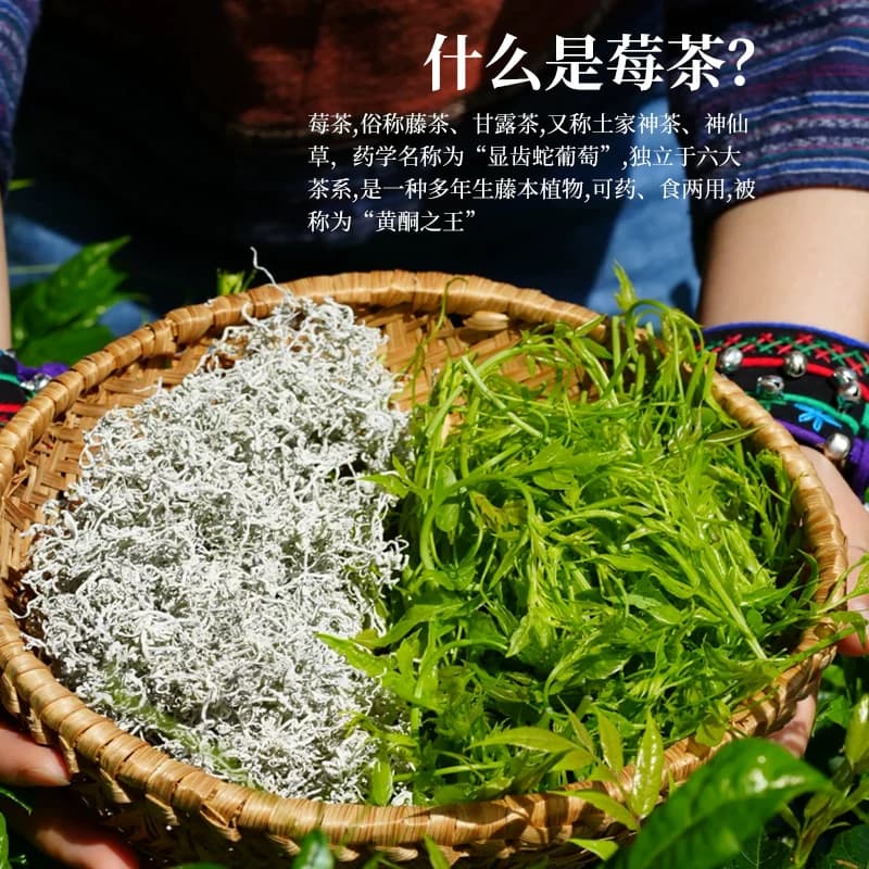 永顺莓茶官方旗舰店张家界特产龙须芽尖湘西长寿调养礼盒有机茶叶 - 缩略图4