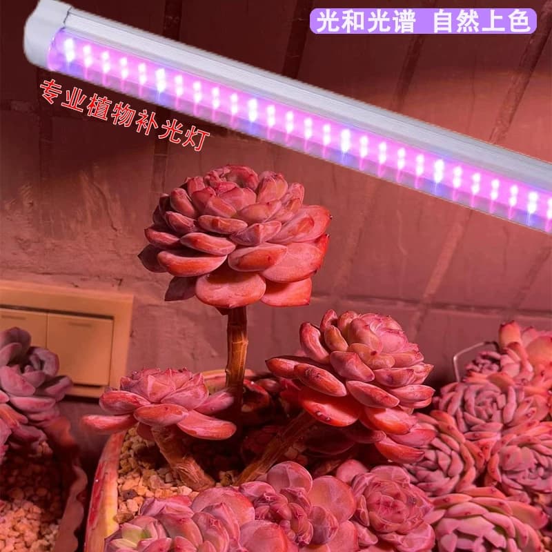 LED全光谱仿太阳光长条防水多肉花卉蔬菜补光生长灯多肉生长灯 - 缩略图3