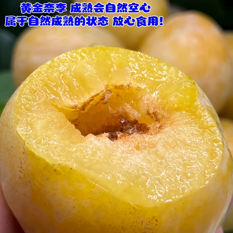正宗乐昌九峰山黄金奈李广东新鲜水果李子现摘现发恐龙蛋顺丰包邮 - 缩略图2