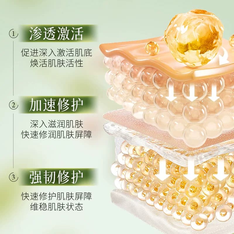佰珍堂黄芪凡士林舒缓滋养修护身体乳B - 缩略图4