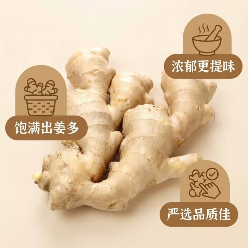 山东大姜生姜新鲜老姜黄姜风干月子姜食用泡脚洗发大姜块批发正宗 - 缩略图2