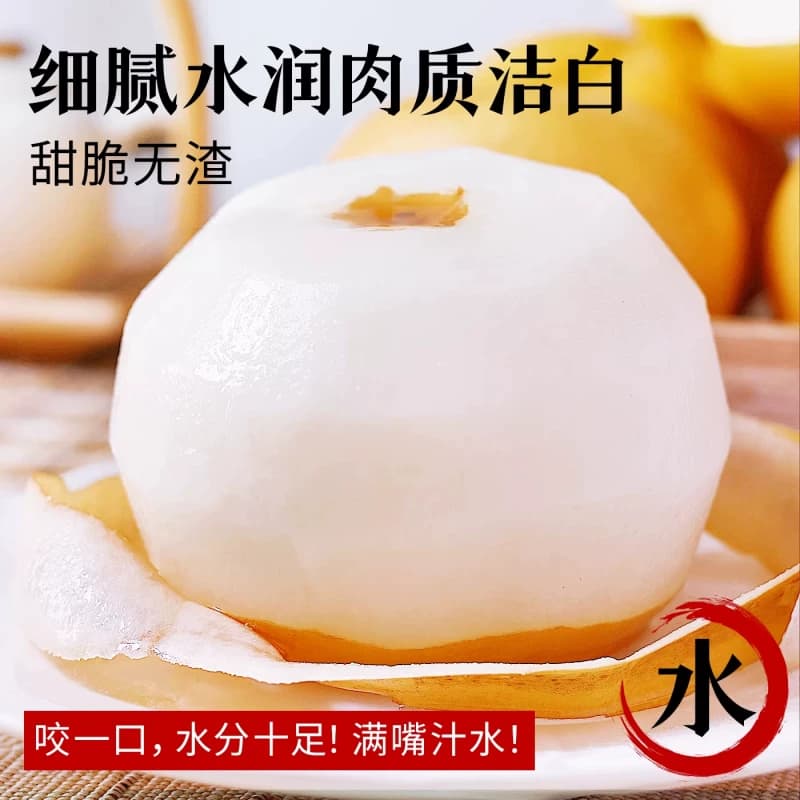 正宗丰水梨秋月梨现摘现发水果新鲜当季冰糖雪梨子大果整箱包邮 - 缩略图4
