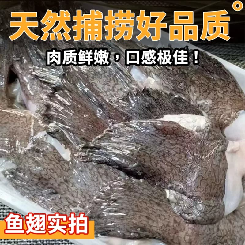 新鲜安康鱼翅膀冷冻鱼翅鱼鳍安康鱼鲜活深海鱼翅海鲜水产整箱批发 - 缩略图4