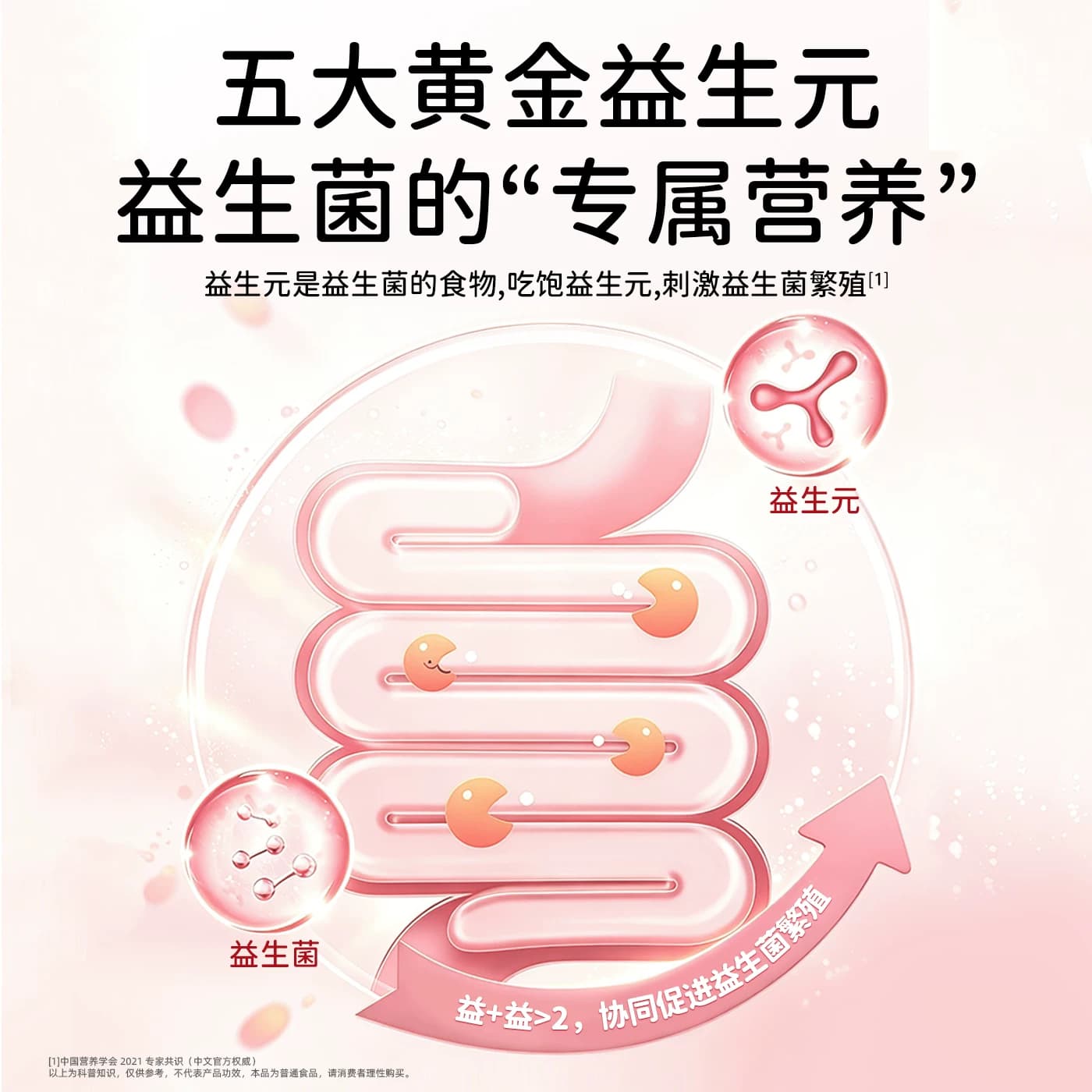 阿福乐儿童益生菌肠道肠胃益生元成人孕妇双歧杆菌正品官方旗舰店 - 缩略图4