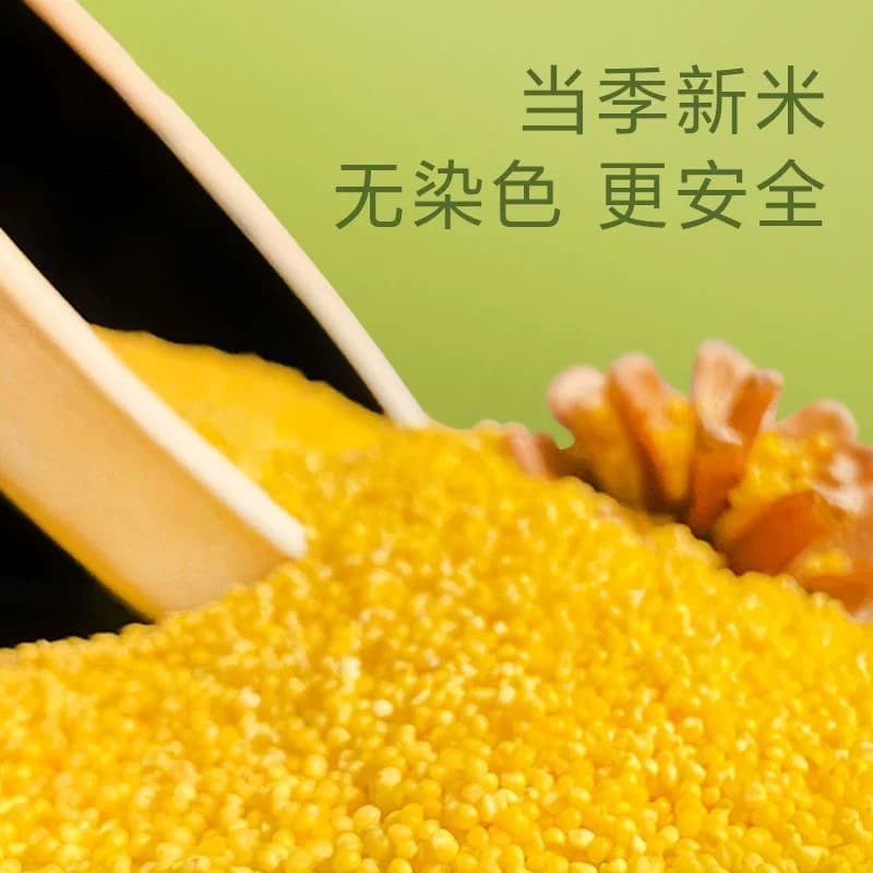【新货5斤】内蒙古赤峰黄小米农家新米熬粥油小米油厚香糯杂粮米 - 缩略图4