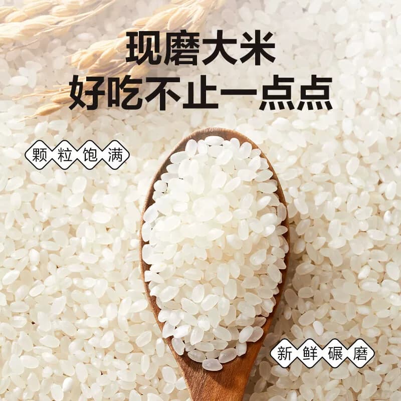 盘锦蟹田大米1斤东北大米一斤圆粒大米500g当季新米品质保障 - 缩略图3