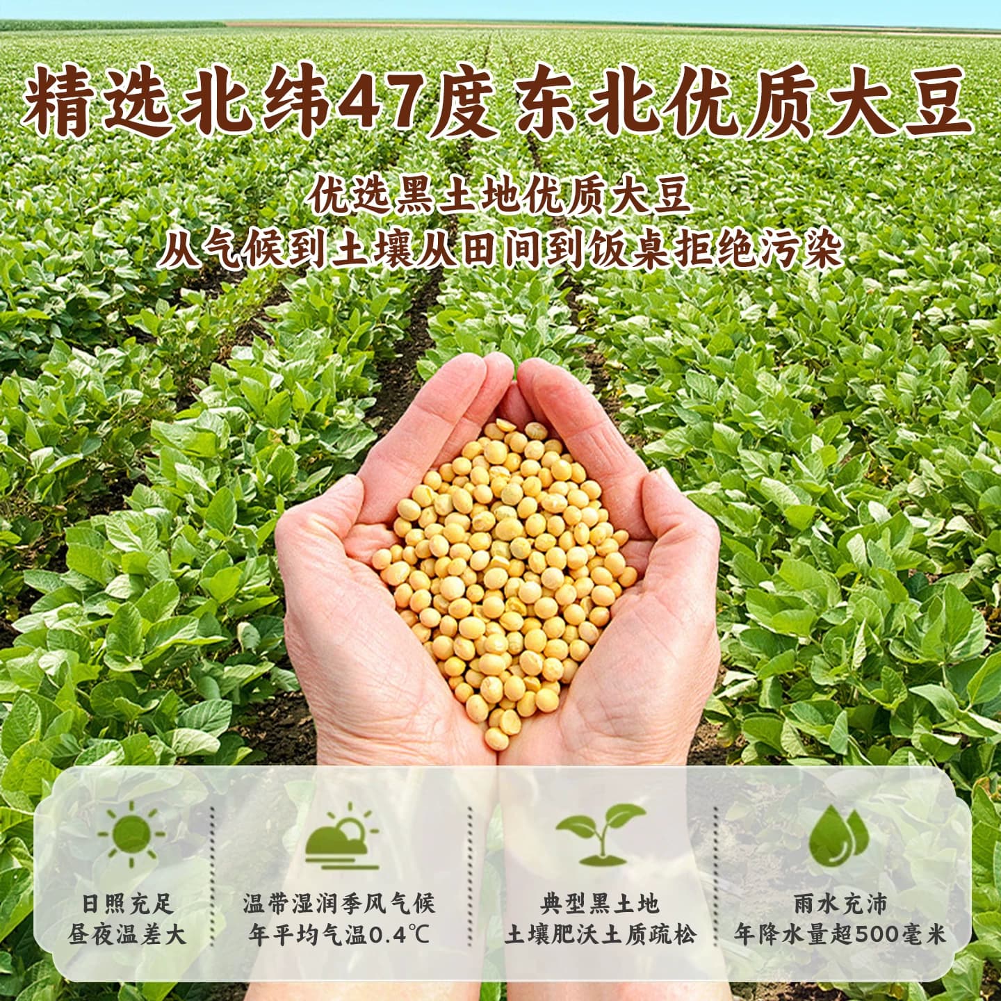 豆大福腐竹干货纯正特级0添加头层豆制品非转基因黄豆火锅食材 - 缩略图5