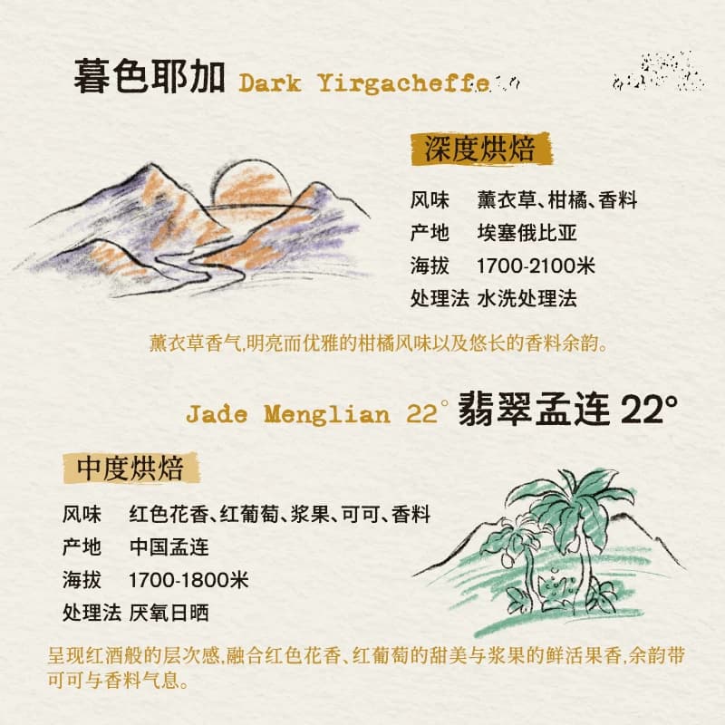 Ora单一产地风味巡礼挂耳组合手冲挂滤式咖啡皮爷同款烘焙200g - 缩略图2
