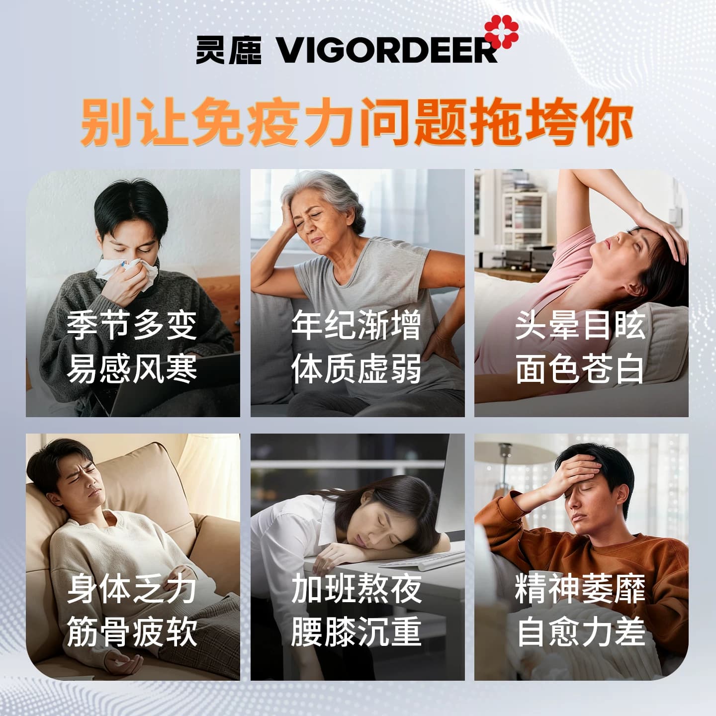 Vigordeer灵鹿梅花鹿鹿茸粉中老年成人免疫力气血带血茸吉林正品 - 缩略图2