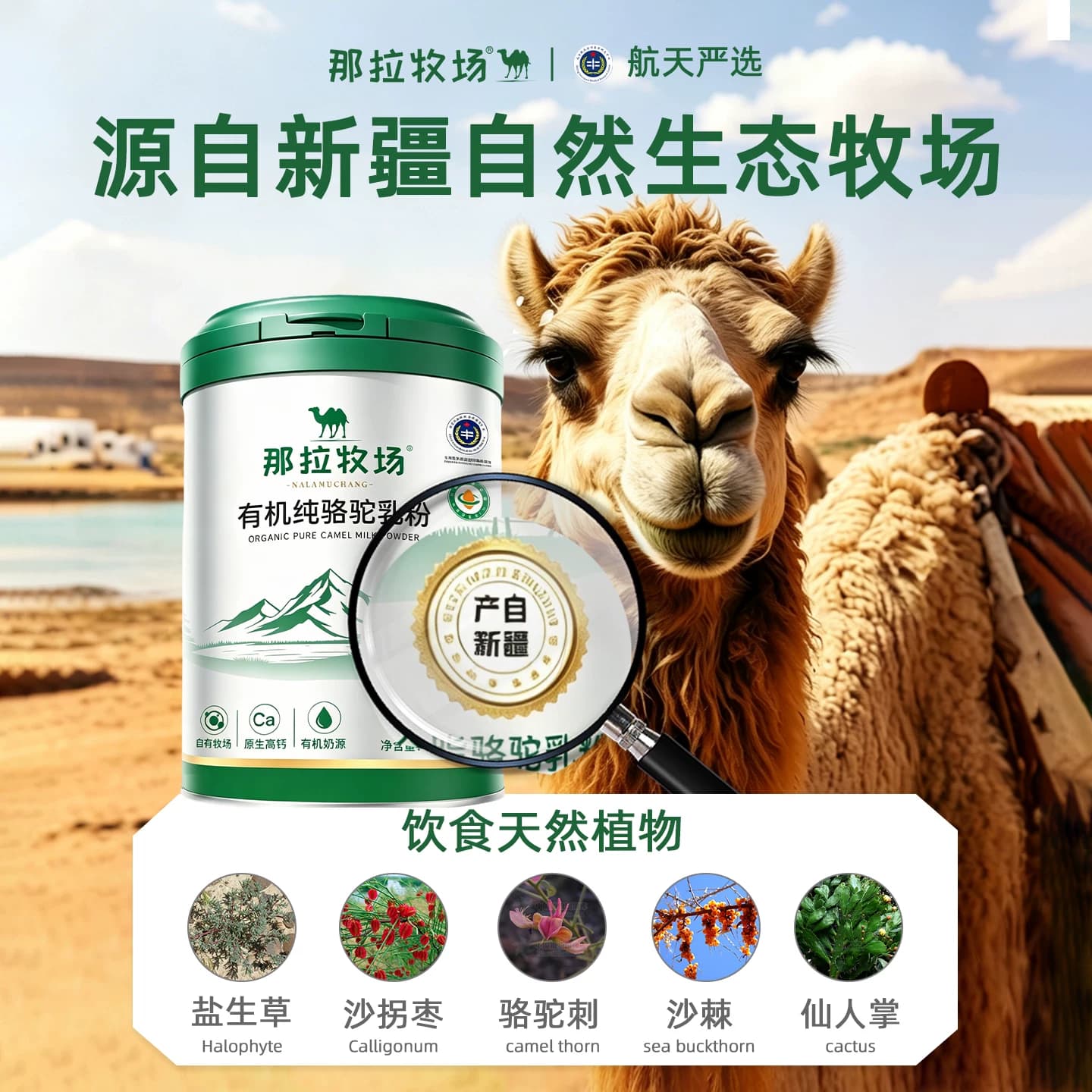 那拉牧场四有机100%纯骆驼奶粉正宗新疆驼奶粉中老年高钙骆驼乳粉 - 缩略图3